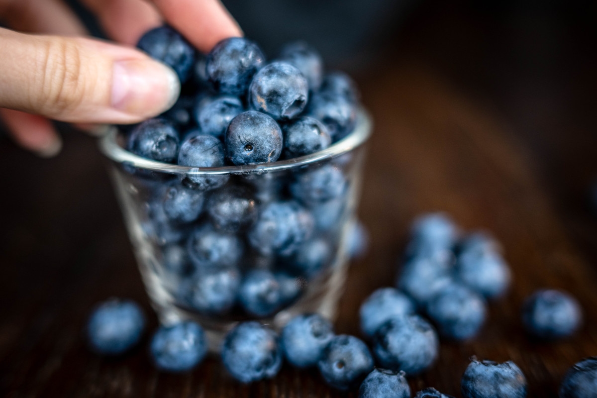 Blueberries Recalled After FDA Issues Highest Warning Over Listeria Contamination