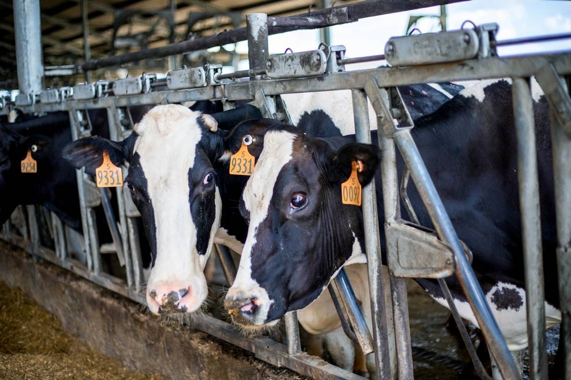 How to feed the world without trashing the planet. Q&A with Miami writer Michael Grunwald