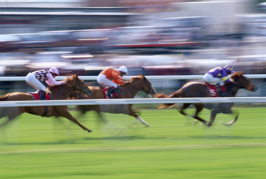 Minnesota lawmakers consider taxpayer bailout for wealthy thoroughbred owners