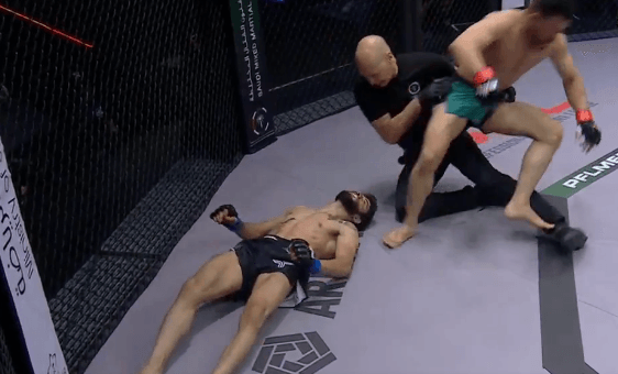 2025 PFL MENA 2 video: Islam Youssef flattens opponent with filthy flying kick