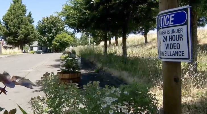 Portland, Oregon neighbors say officials are dragging their feet on crime — so they grew their own solution