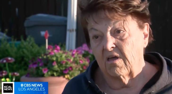 Residents of this California city are outraged by a new 38-home development approved by state law. Here's why