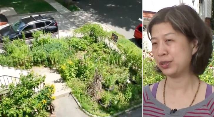 NY homeowner fills yard with native plants — but town officials threaten a $2K fine unless she makes changes