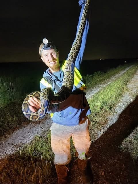 South Florida Water Management District's new Python Elimination Program rewards catches