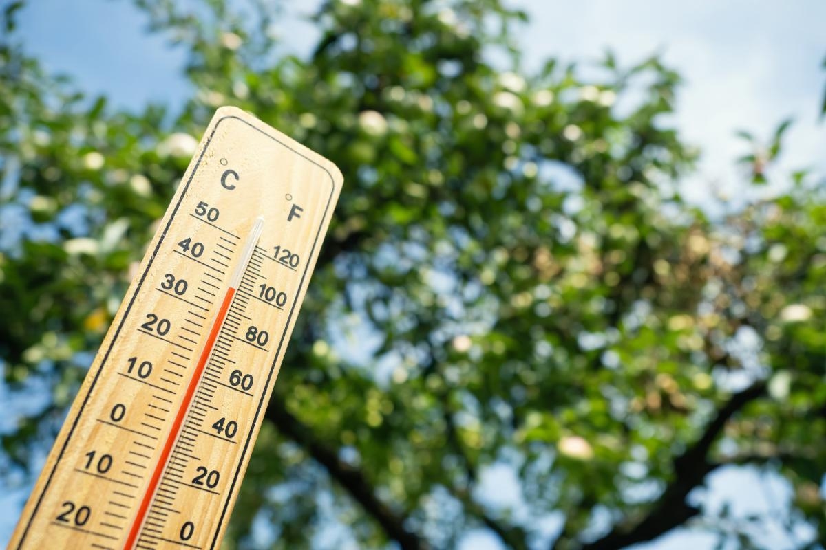 Temperatures soar as Met Office predicts heatwave in Carlisle this week