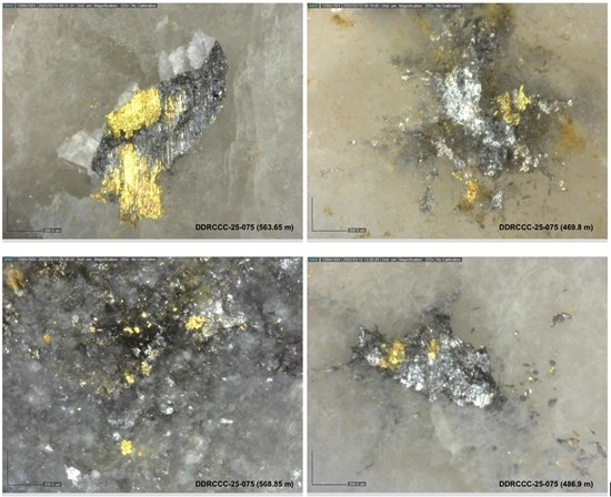 Sitka Intersects Multiple Occurrences of Visible Gold in the First Diamond Drill Hole of 2025 at Its RC Gold Project, Yukon