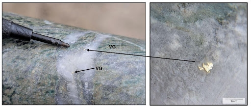 Golden Cariboo Resources Intersects New Visible Gold Mineralization at Halo Zone