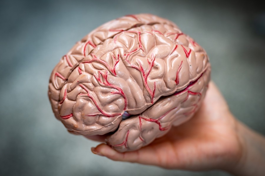 New brain implants poised to help people with disabilities