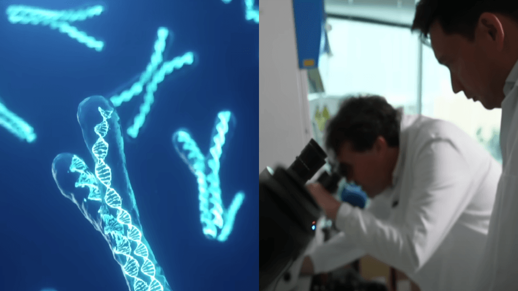 Scientists launch controversial project to create the world's first artificial human DNA
