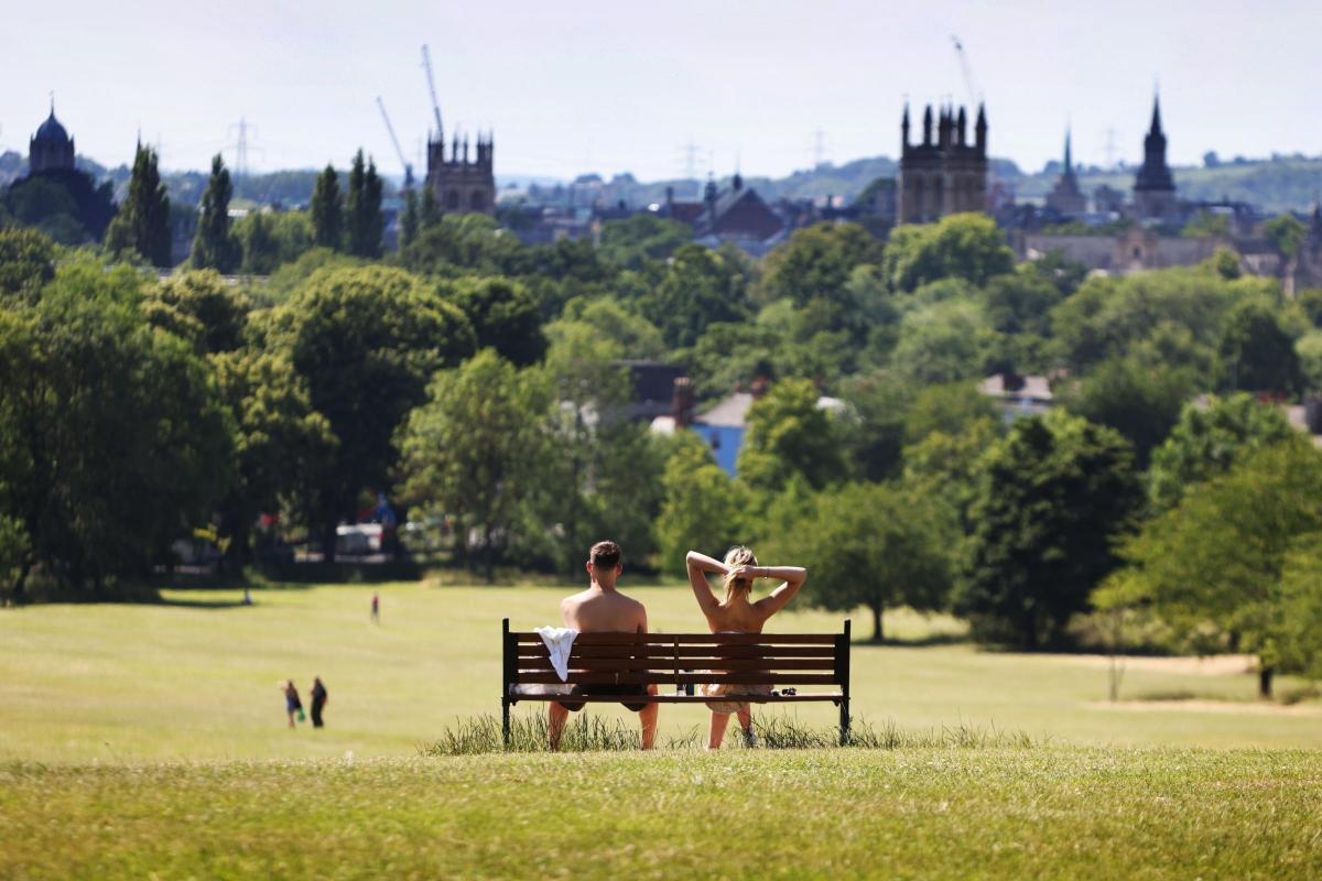 Worst of hay fever season could be around the corner, expert warns