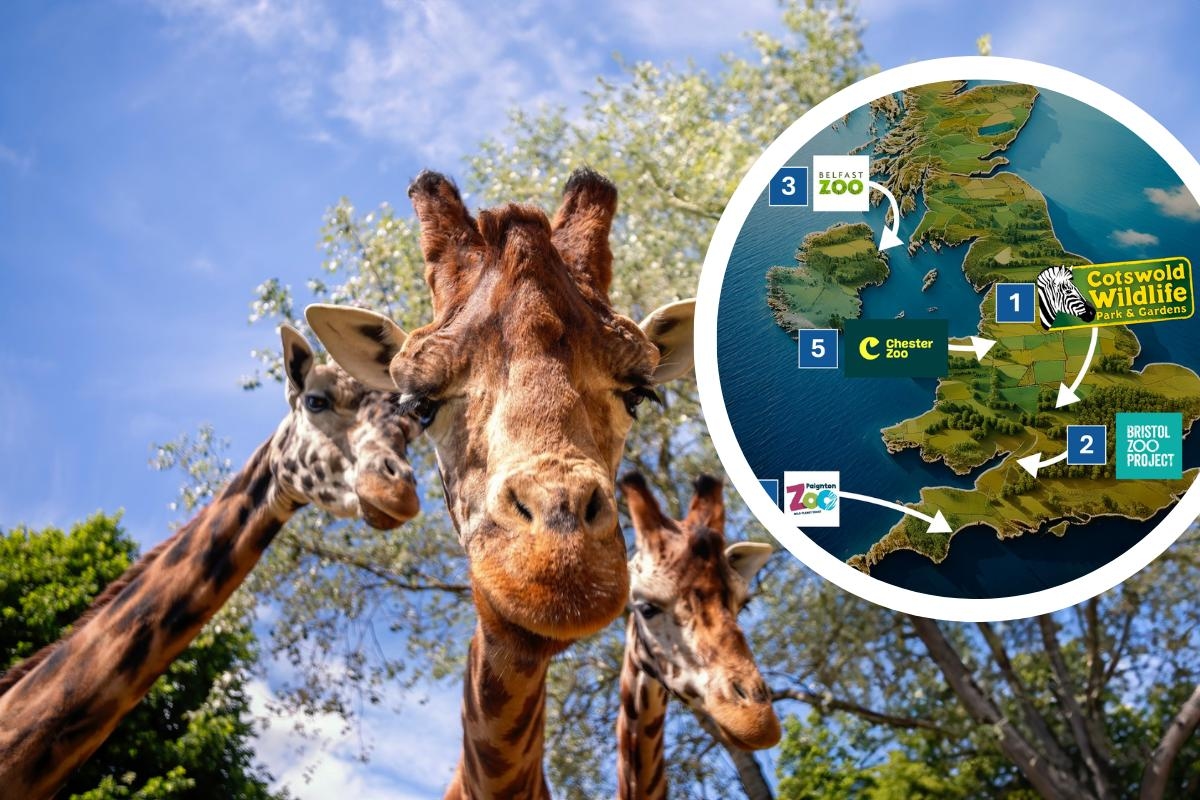 Cotswold Wildlife Park crowned 'best zoo in the UK' for second year