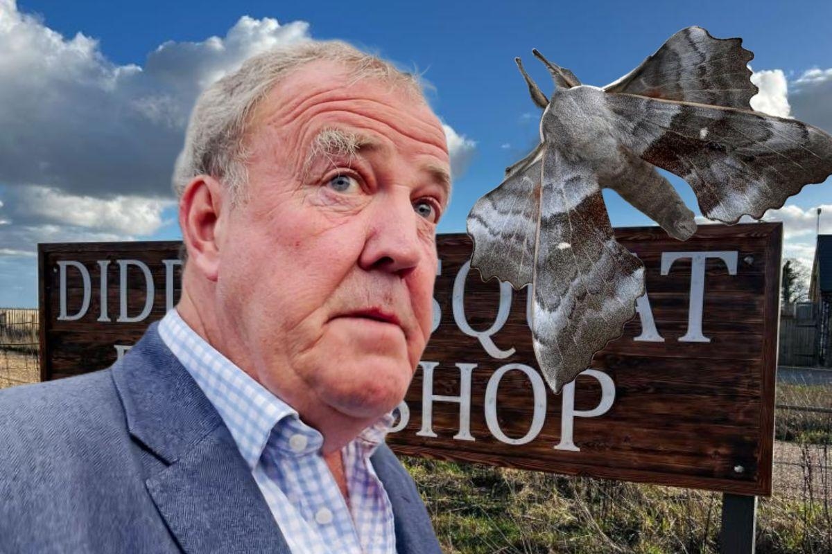 'What the f*** is that': Clarkson battles 'monster moth' at farm
