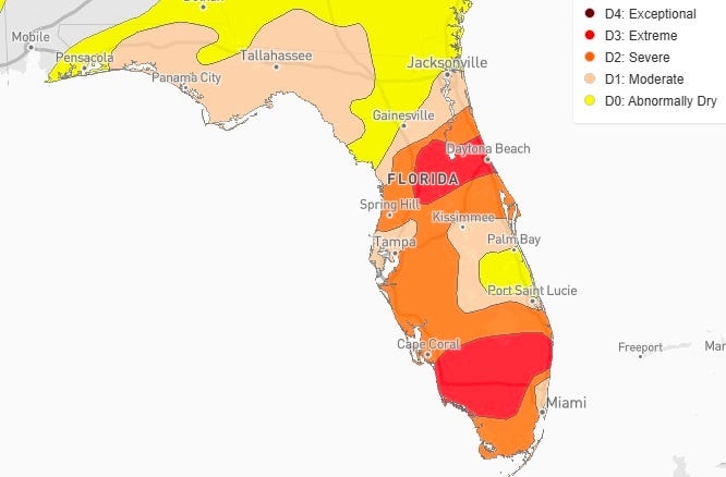 82% of Florida experiencing drought conditions. See worst areas and whether rain expected soon