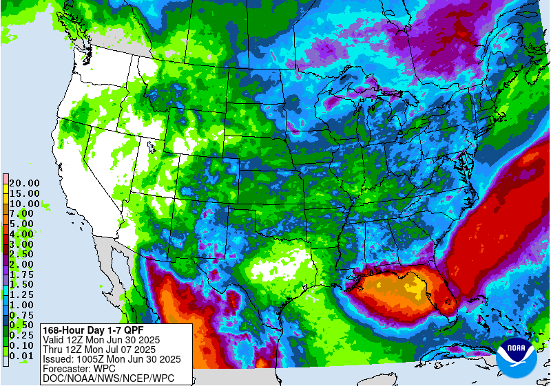Could a tropical storm impact your Florida Fourth of July plans? Forecast, possible scenarios