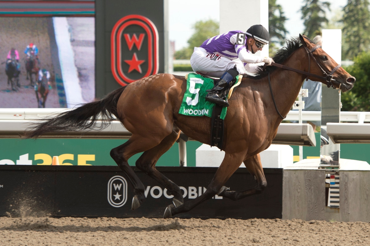 Serendipity Scores Front-Running Selene Win In Stakes Bow