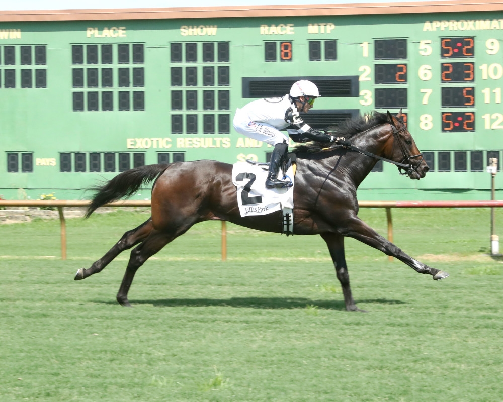 Troubleshooting Storms Home In Dade Park Dash In Stakes Debut