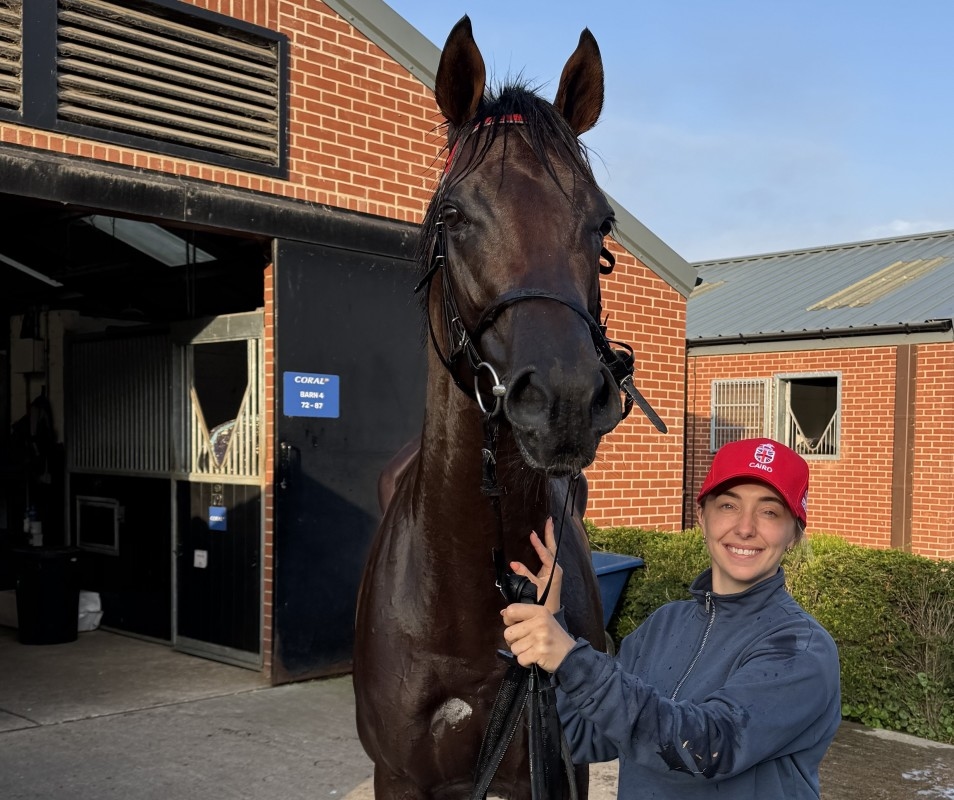 'Globetrotter' Cairo Brings Alice Haynes Back To U.S. For Arlington Million