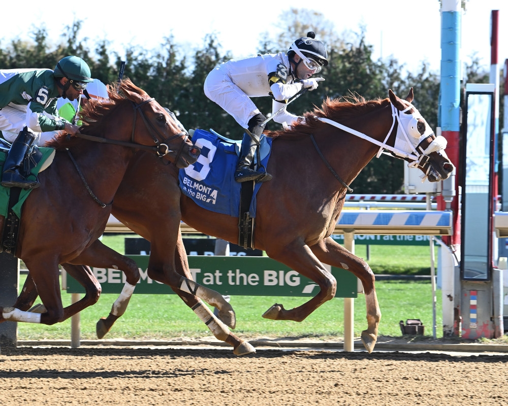 Studlydoright Headlines Opening Weekend Stakes At Colonial Downs