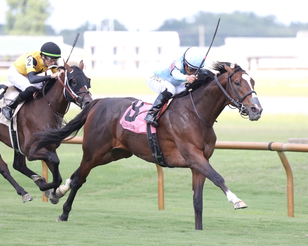 'He Was Ready': Tomasello Gets Perfect Trip In Ky Downs Preview Nashville Derby