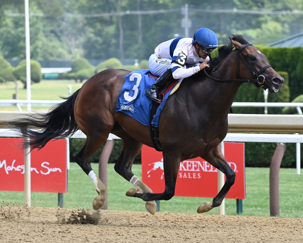 'Hard Not To Go There': Echo Sound Candidate For Test After Victory Ride Score