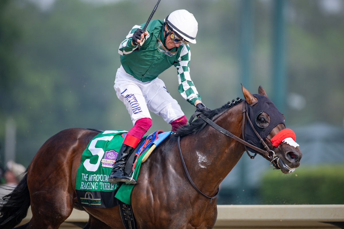 Malibu, Met Mile Winner Raging Torrent Retired