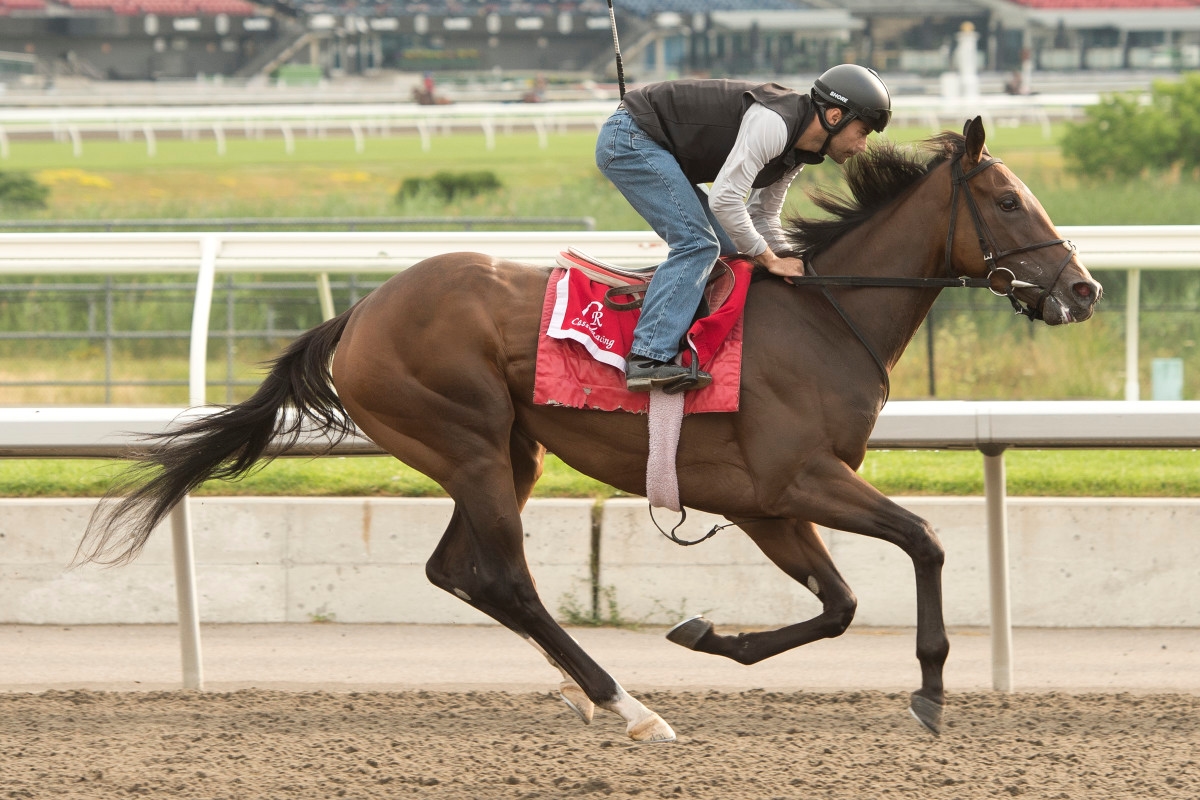 Mark Casse-Trained Quintet Seek Classic Glory In Woodbine Oaks