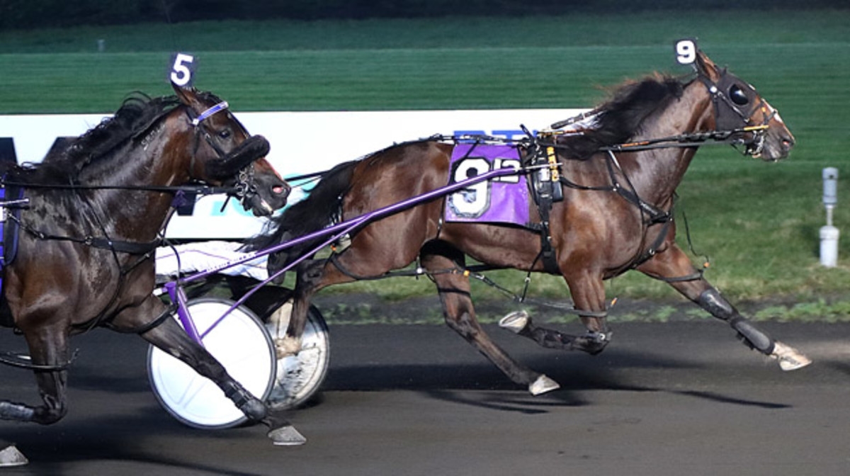 ‘A Crazy Sign': How Meadowlands Pace Winner Charlie May Inspired A Family