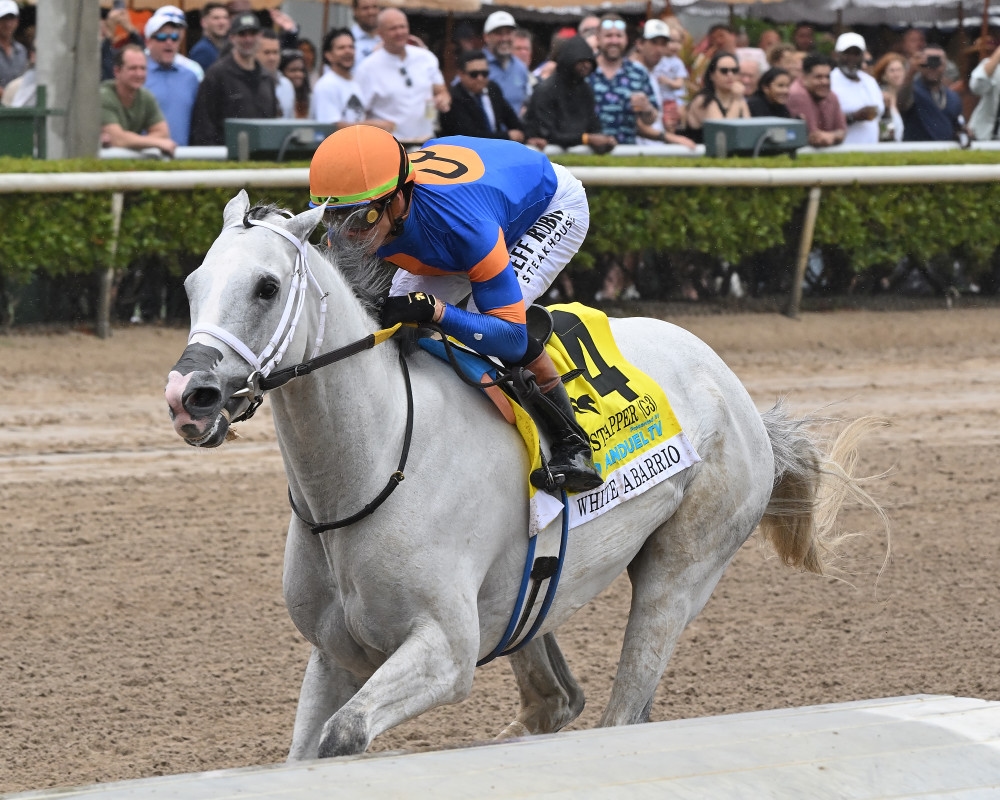 White Abarrio Stretches Legs At Saratoga With Eye Toward Met Mile