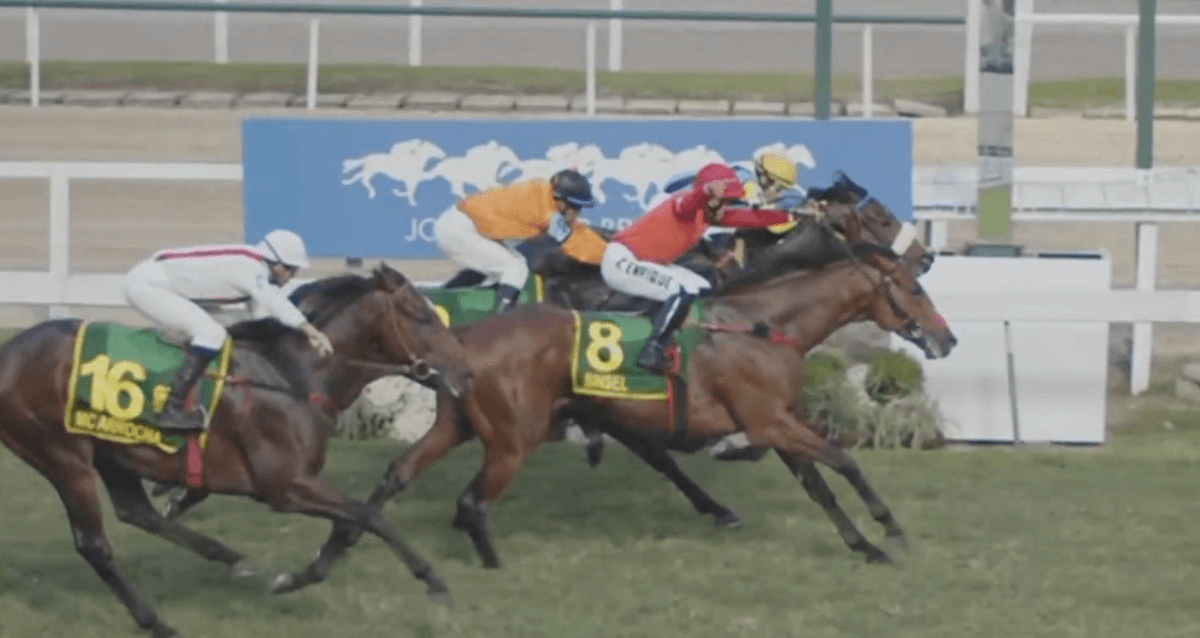 ‘This Will Never Happen Again': Brazilian Jockey Suspended 59 Days For Premature Celebration In Nation's Biggest Race