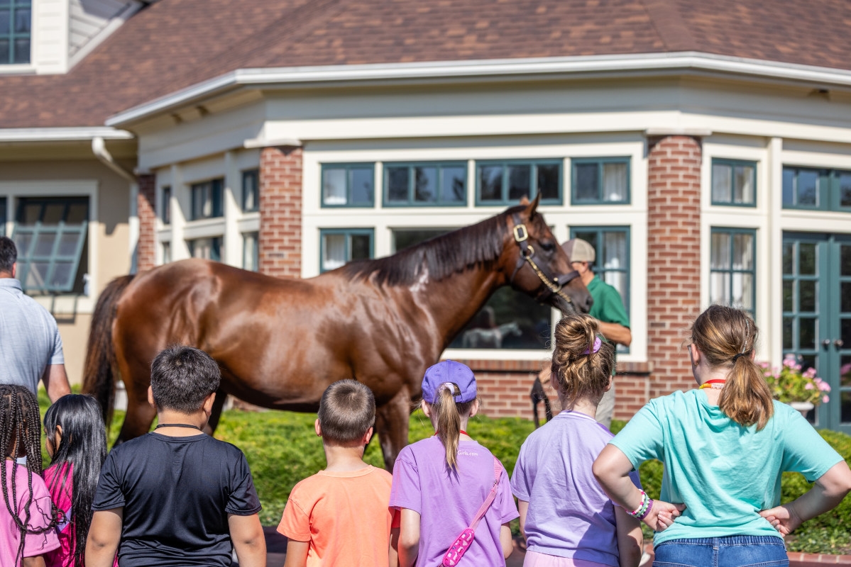 Horse Country Member Farms Host Woodford County Summer School Students