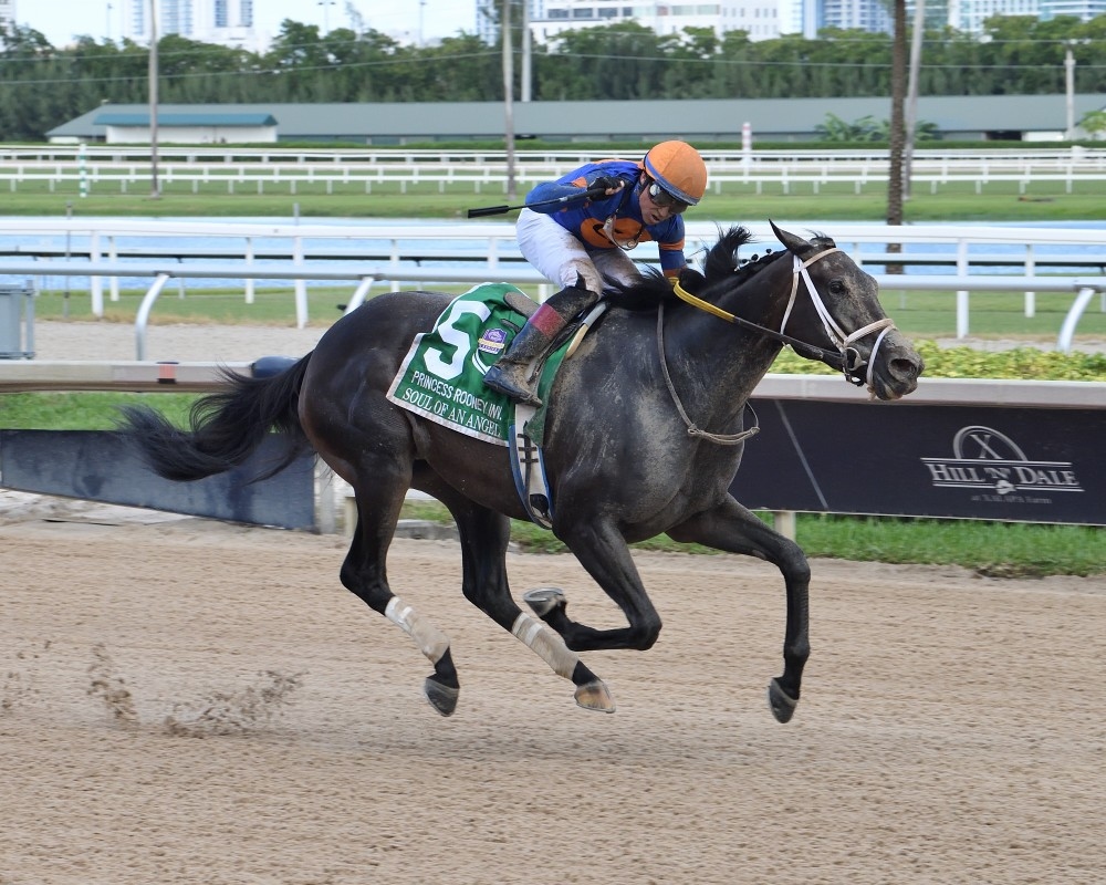 Grade 3 Princess Rooney Highlight Of Gulfstream Sunshine Meet