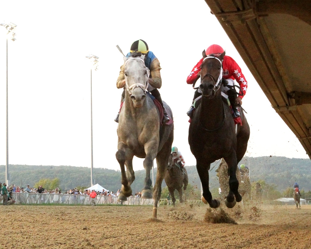 Hit Show Takes West Virginia Governor's Stakes In Mountaineer Thriller