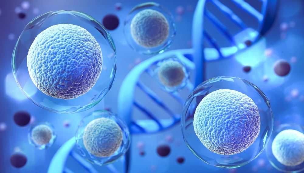 Ryoncil, the first FDA-approved mesenchymal stromal cell therapy