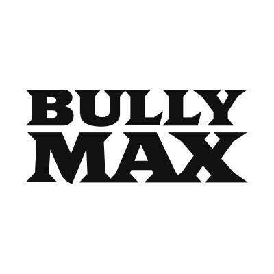 Bully Max's Creative Team Secures Triple ADDY Win, Including Coveted Gold