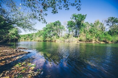 United States: TotalEnergies Expands Its Investments in Sustainable Forestry Operations to Preserve Carbon Sinks