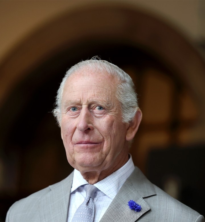 Buckingham Palace Releases Super Striking Photo of King Charles Alone