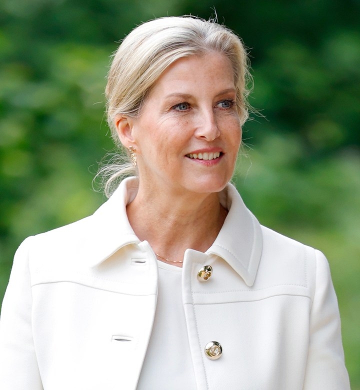 Duchess Sophie Almost Stumbles While Curtsying to King Charles