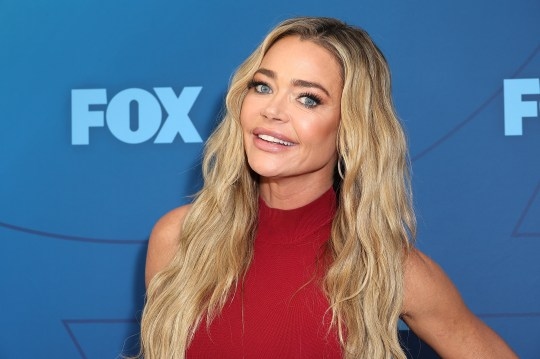 Denise Richards Requests Restraining Order in Divorce; Accuses Estranged Husband Aaron Phypers of Choking and Slapping Her