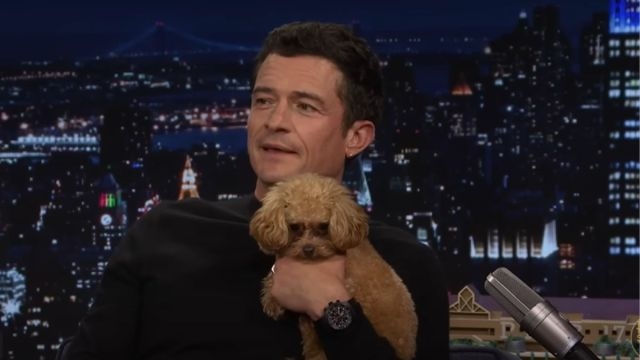 Orlando Bloom Hangs Out With ‘Support' Dog Amid Katy Perry Split Rumors