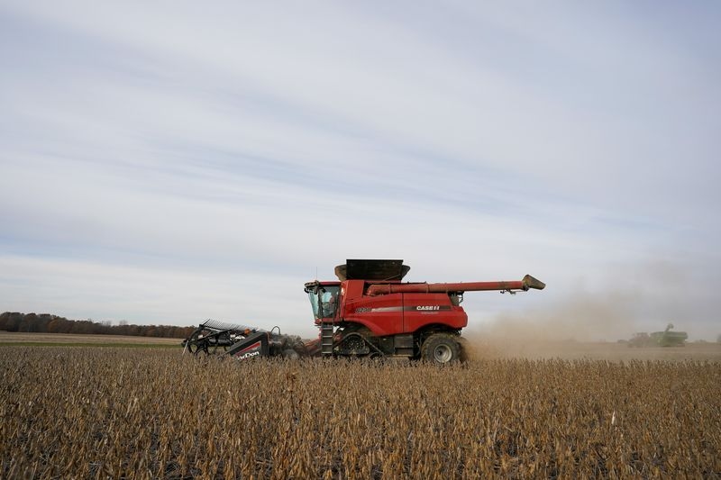 Biofuel demand to soak up more than half of US soyoil production next year, USDA says
