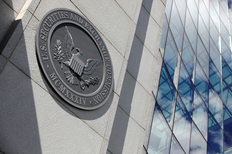 Exclusive-DOGE now targeting SEC policy, eyes SPAC rules, sources say