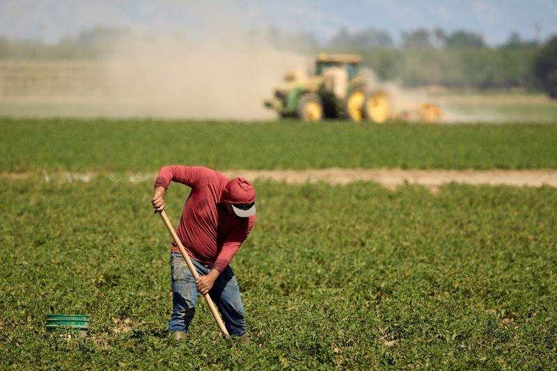 Trump administration suspends enforcement of Biden-era farmworker rule