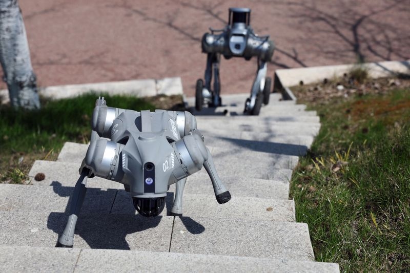 China's Unitree Robotics starts IPO process
