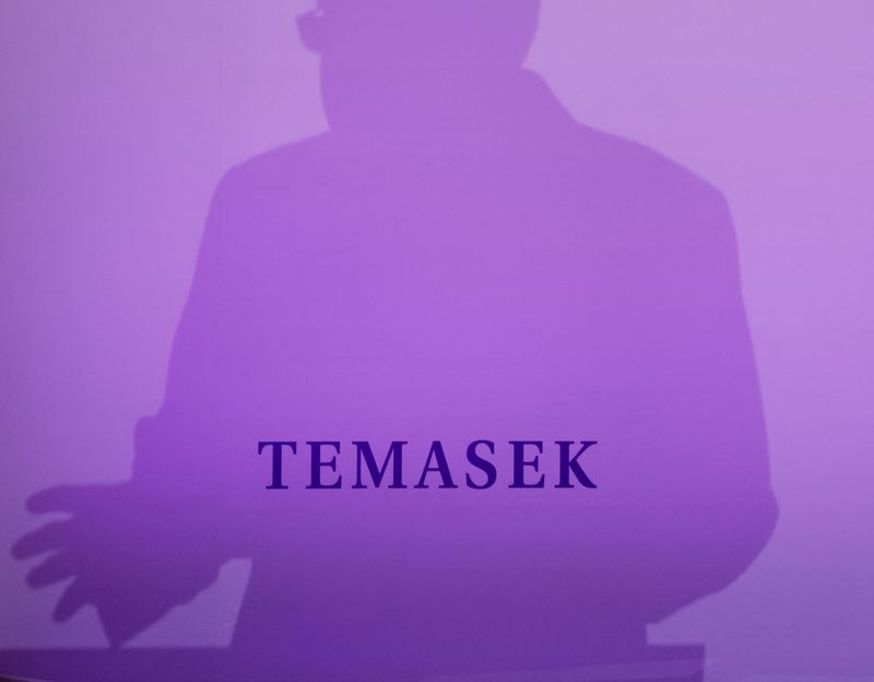 Temasek's portfolio value hits record high; says US risks likely peaked