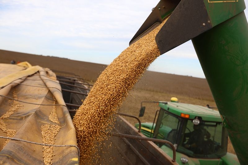 Exclusive-Chinese feed makers sign first bulk deal for Argentine soymeal since 2019, sources say