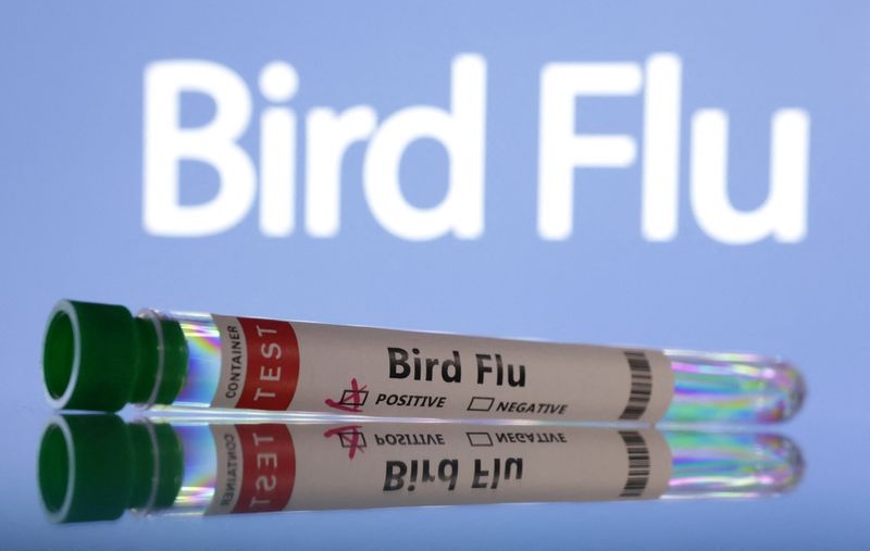 South Africa reports H5N1 bird flu on poultry farms, international agency says
