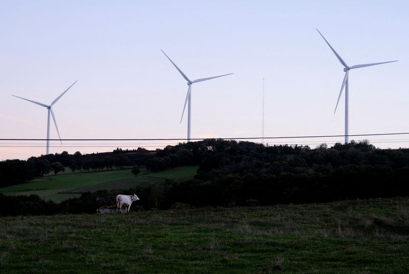 EU plans to add carbon credits to new climate goal, document shows