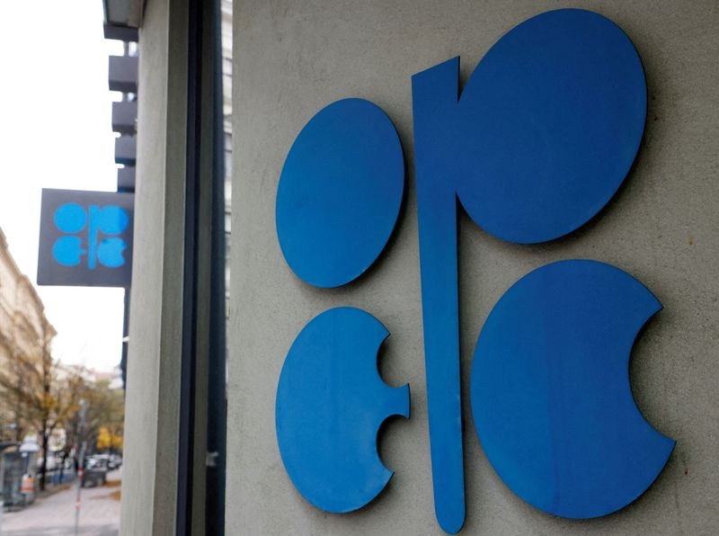 OPEC says world economy may do better in second half of year