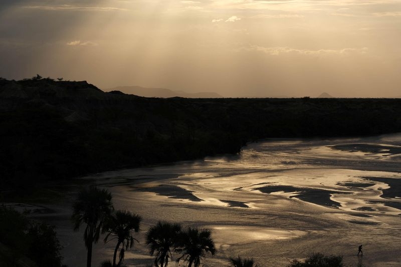 Ancient proteins found in fossils up to 24 million years old