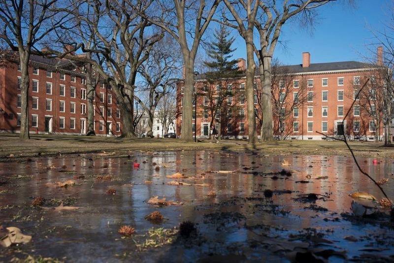 Harvard law library acts to preserve government data amid sweeping purges